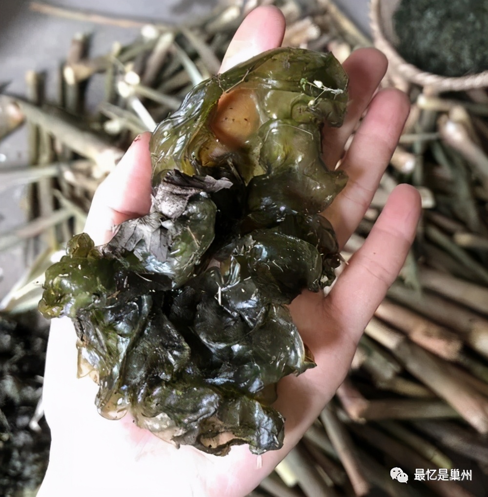 老家巢湖过年记,老家巢湖记