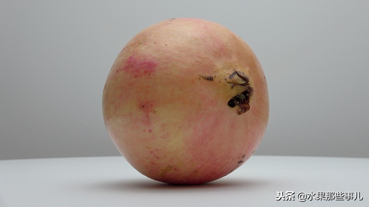 突尼斯软籽石榴什么人群不能吃,可以喝的突尼斯软籽石榴