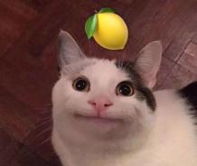 宋茜谭松韵任嘉伦李现千玺,许光汉宋威龙视频通话模板