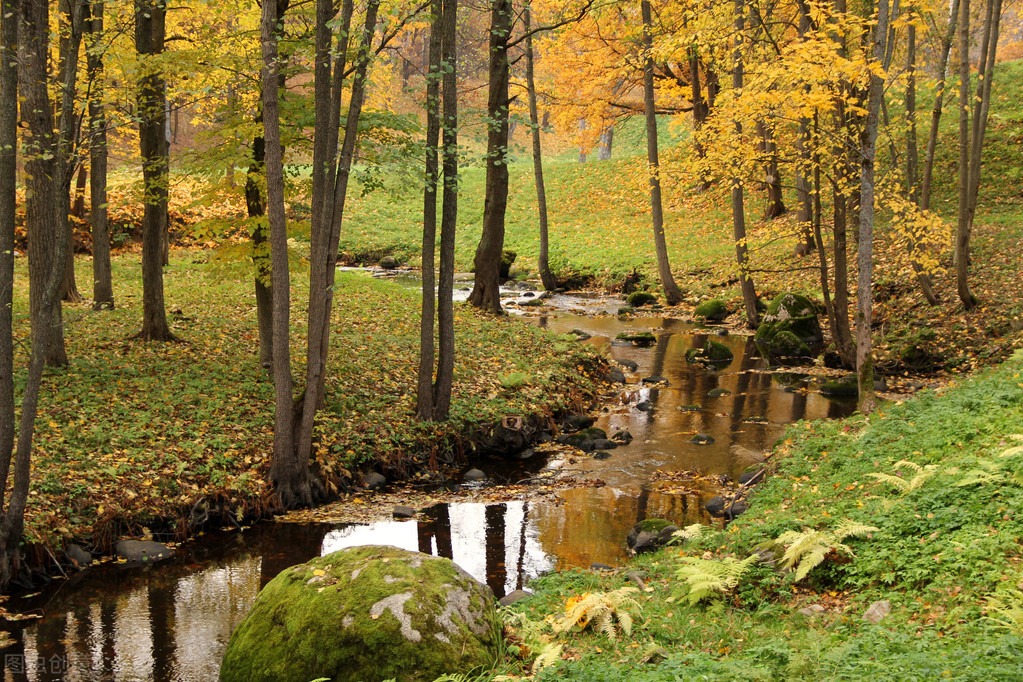 下雨过后钓鲶鱼最好的钓点,钓鲶鱼的神仙钓点在哪里