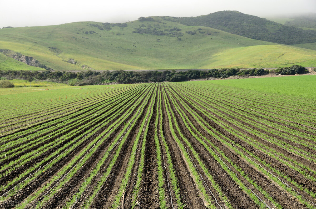 广西南宁投资项目公布,南宁3个月18个重点项目超115亿元