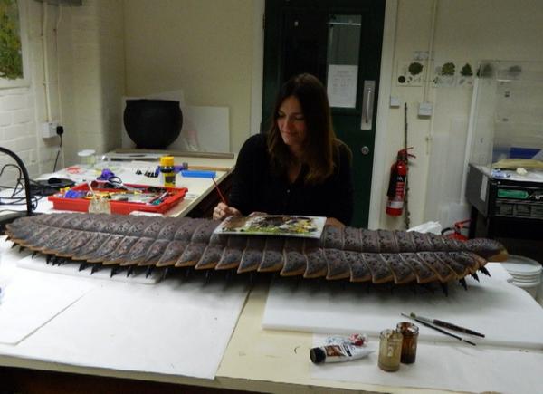 迷雾中的巨型生物大蜈蚣,远古生物长三米的巨大蜈蚣