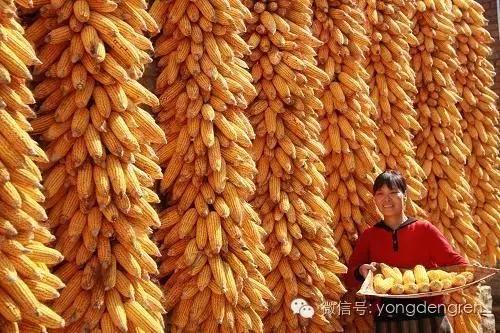 甘肃兰州最大的几个镇,兰州第一大县是哪个县