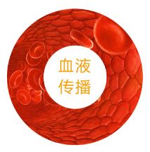 香港代购试纸,快速检测试剂盒香港