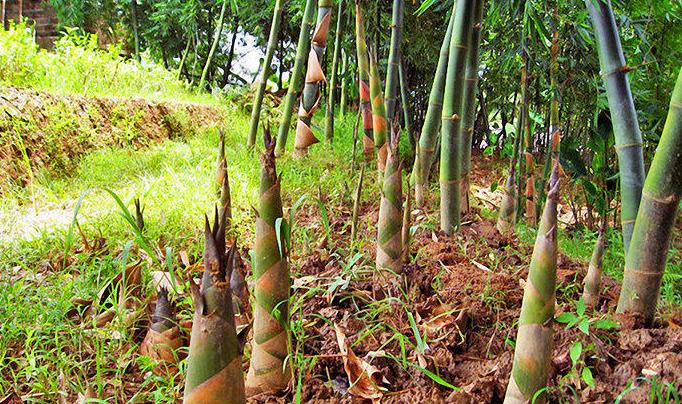 首届梦控师线下工作坊：走在梦的路上，胜过人间天堂