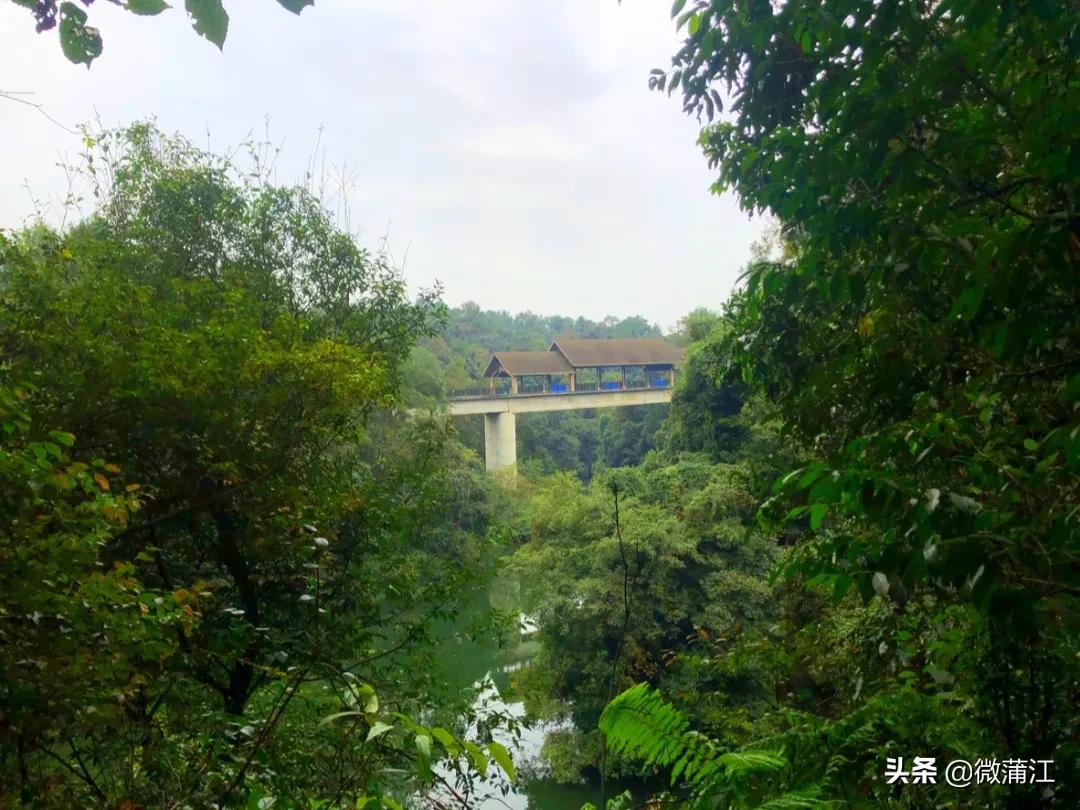 蒲江石象湖景区还开着吗,石象湖开放时间