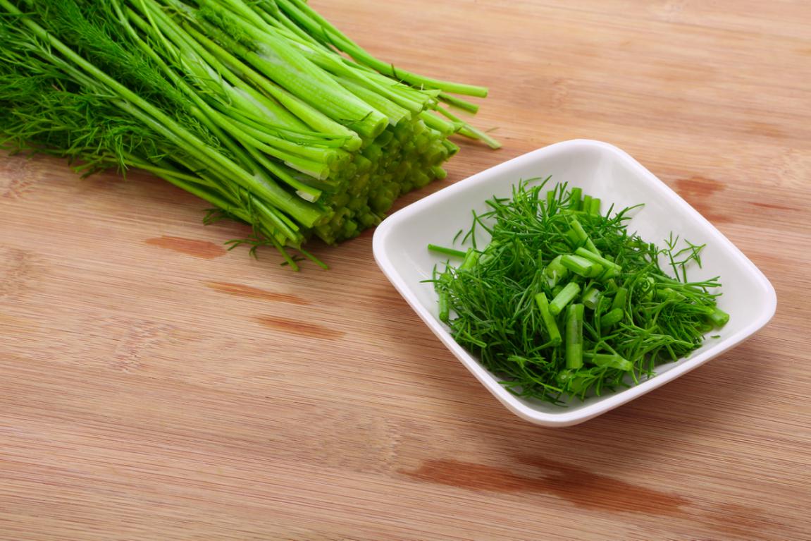 茴香的营养价值和食用禁忌,茴香怎么食用有什么功效