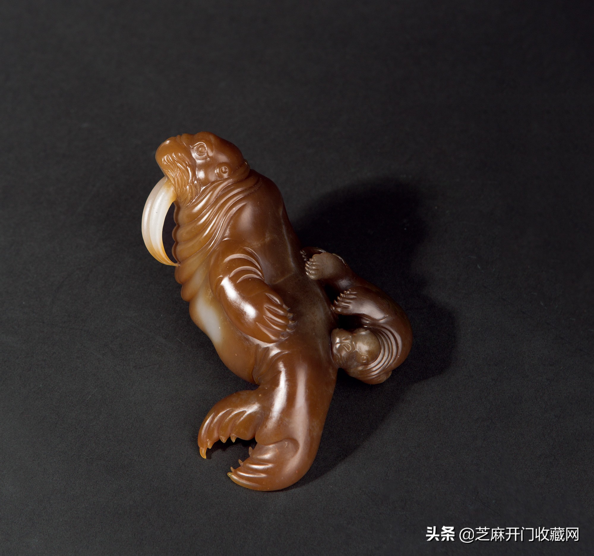 什么是糖玉品种,俄料糖玉和且末糖玉的区别