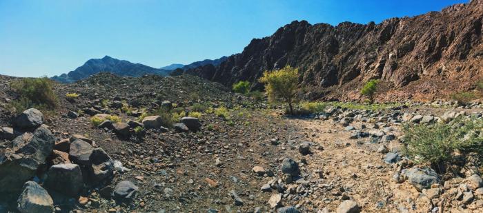 分享iphone的知识,分享iphone实用技巧苹果手机