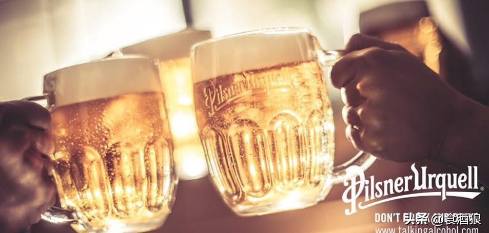 常见皮尔森啤酒,皮尔森啤酒和艾尔啤酒区别