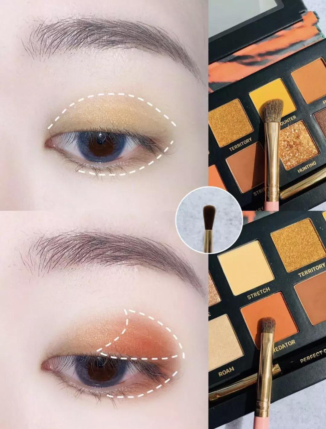 眼影怎么画新手教程,单眼皮怎样画眼影好看