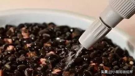 吃完的水果不要扔试试在家就能种,吃完的水果种子