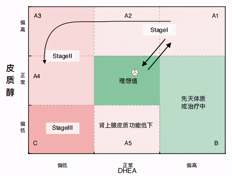 孩子经常焦虑紧张应该怎么办,宝宝皮质醇一般多大会变成褪黑素