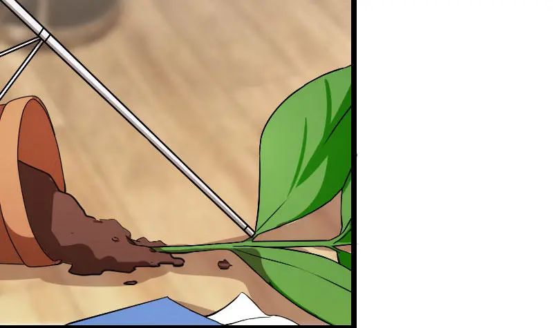 “我要那个阿姨做我妈咪”贺少看向那个150斤的女人咬牙：行，娶