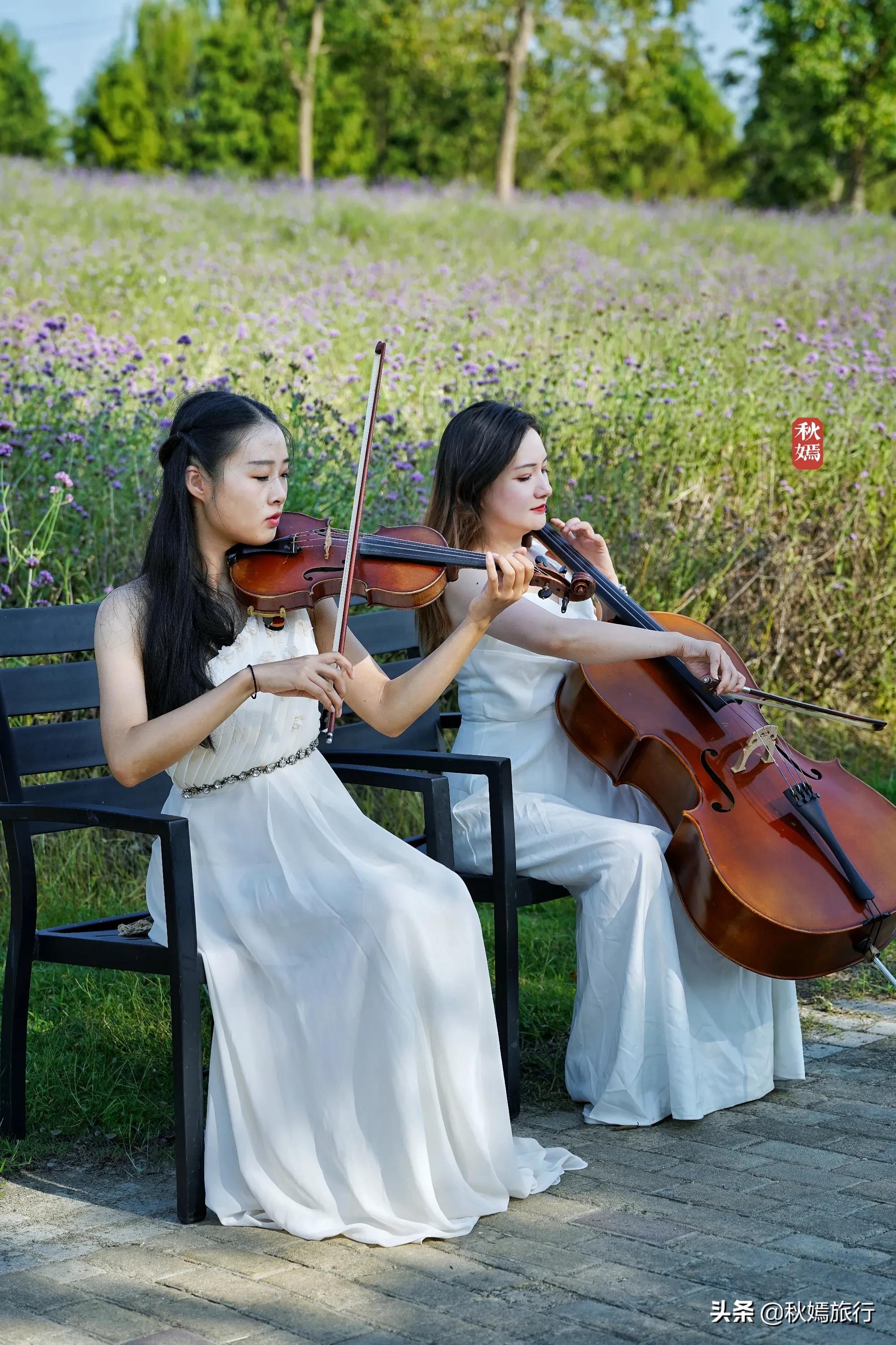 苏州吴中太湖新城苏州湾湿地公园,苏州湿地免费公园虎丘