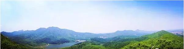 赵沟古村旅游景区有古会吗,赵沟古村景区