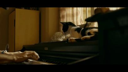 刚看的悬疑片,刚看完一部纯爱电影