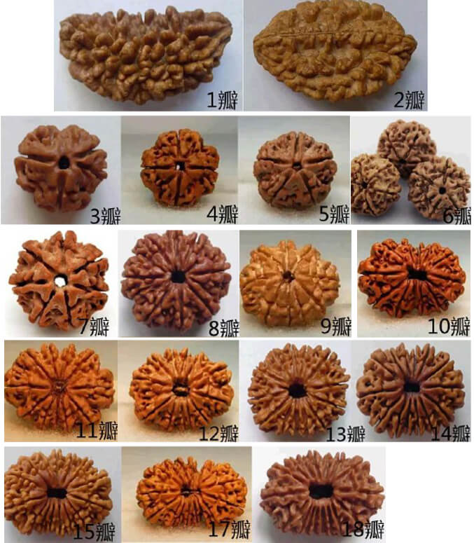 金刚菩提手串,印尼金刚菩提