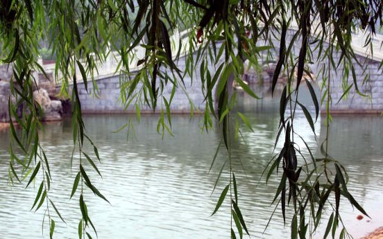 唐山获评国字号荣誉,唐山小区名录