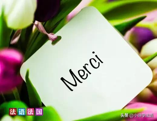 常用语法语零基础入门学习谐音,法语零基础入门学习日常用语