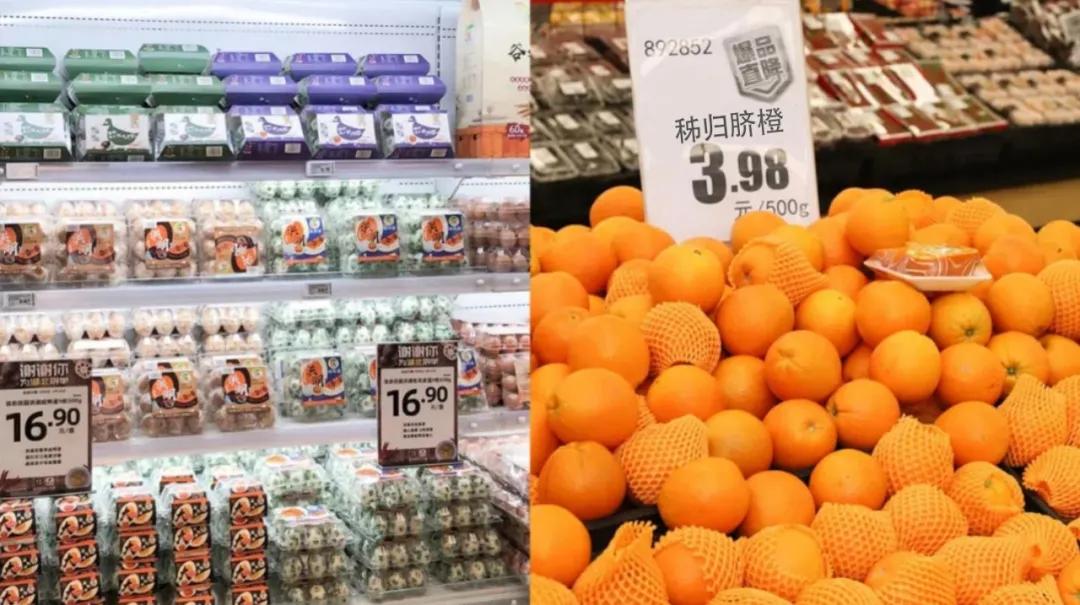 小猪佩奇带货去哪里了,小朱配琦带货清单