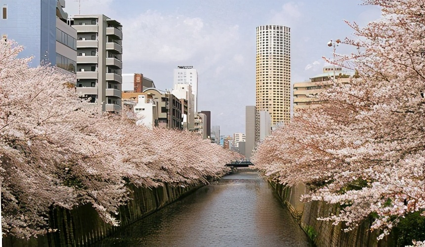 日本东京治安最不安全的地方,日本东京23区怎么样