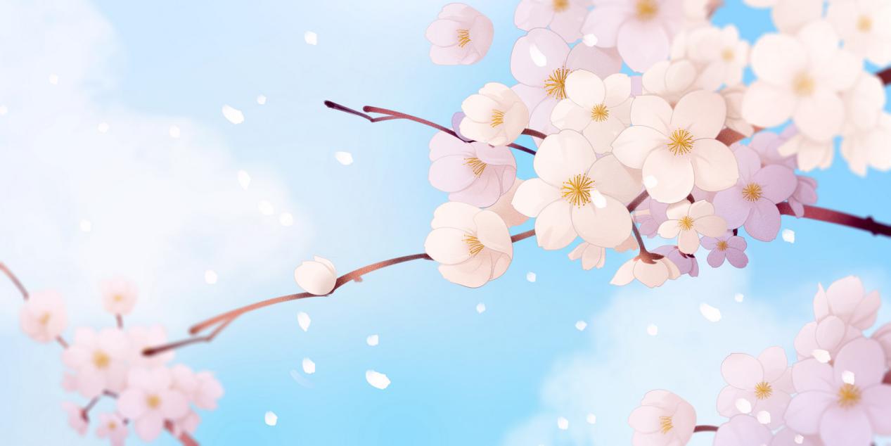 电商代购怎么做才能赚钱,日本电商代购法