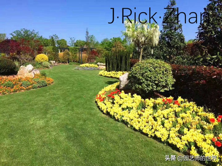 怎么种植草坪不长杂草,如何养好草坪