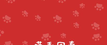 猫咪烫伤了皮掉了怎么办,小猫猫烧伤了怎么办