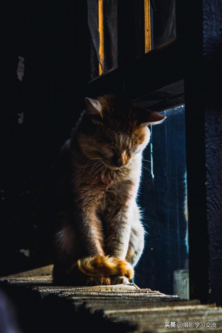 你还停留在摄影基本功上别人已经研究照片风格了-摄影照片分析