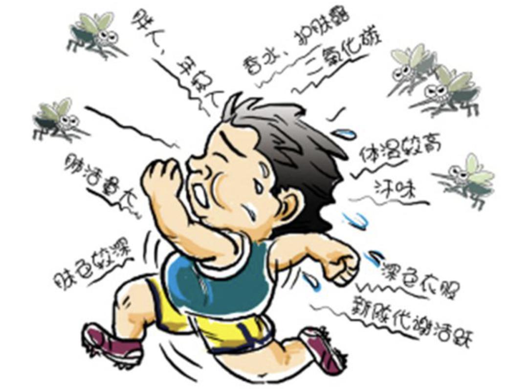 o型血比较容易被蚊子叮是真的吗,o型血怎么防蚊子最有效