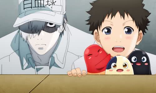 49部新番,48部新番