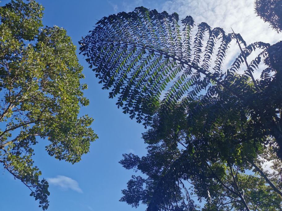 福州跟团云南旅游至少要多少钱,云南旅游跟团最佳路线