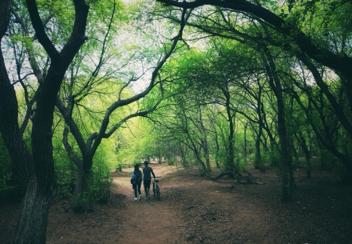 长春工业大学吉林省录取分数线,吉林长春工业大学几本