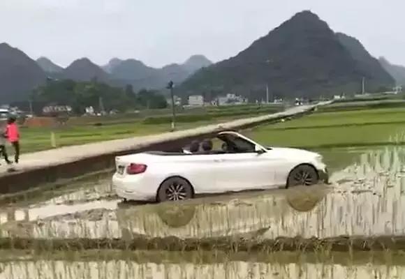 隆安一宝马敞篷车竟跑到田里图片,隆安一宝马敞篷车竟跑到田里