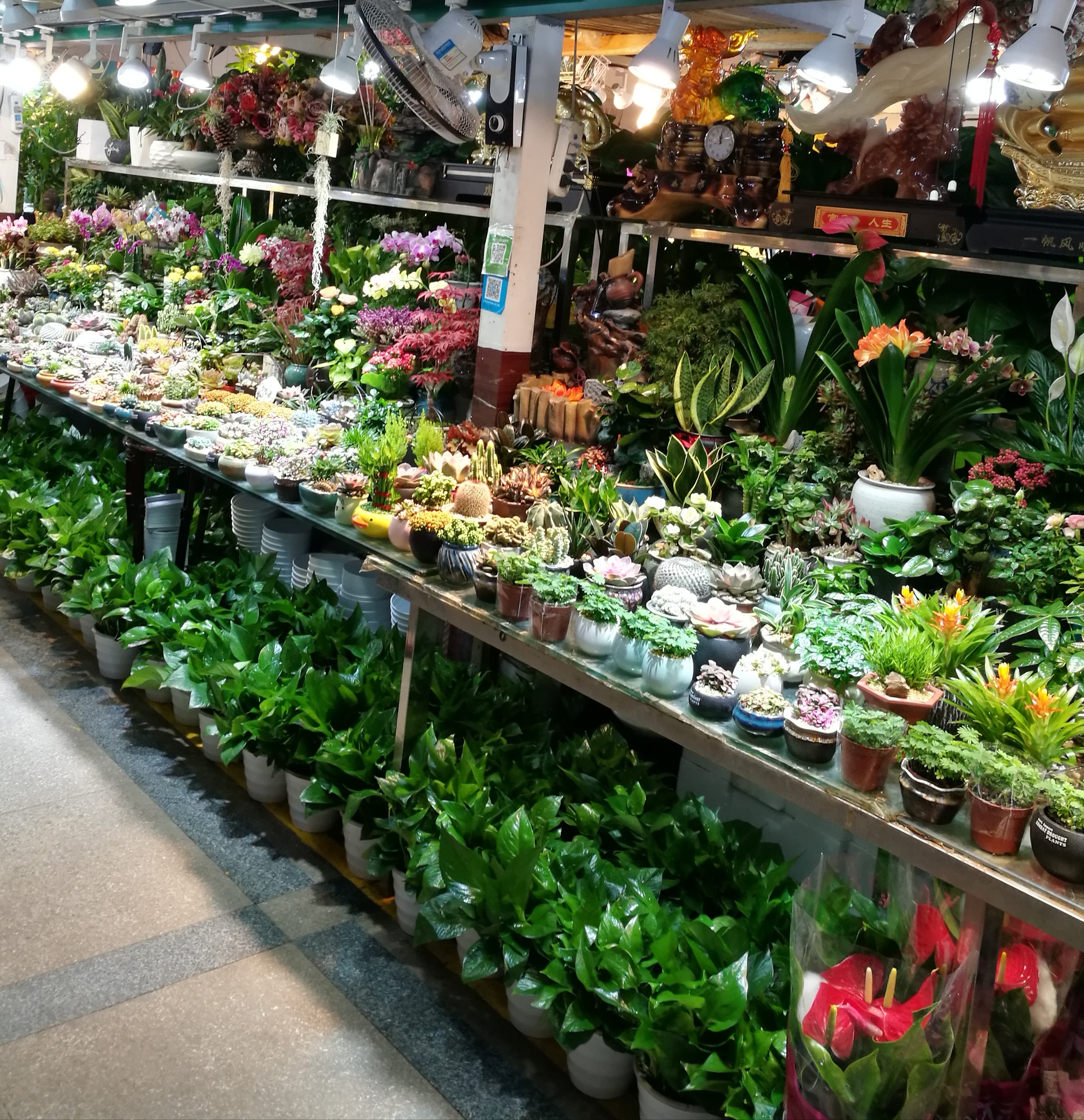 小县城开一家花店的真实感受,想在自己家开花店新手怎么入行