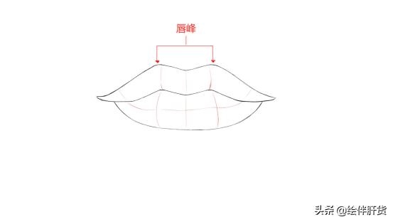 怎么画出诱人性感的小嘴唇？嘴唇的结构和画法教程分享