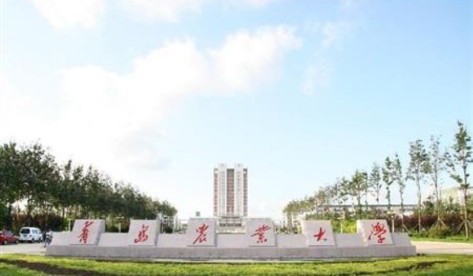 普通二本与专科院校,含高职哪个好？实话告诉你，该如何选择