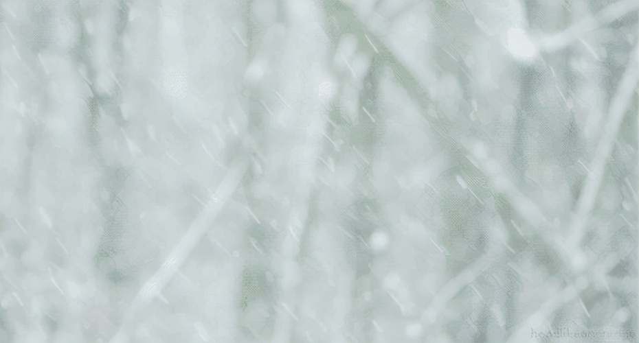 记录陪伴你的每一刻,陪伴左右最可贵