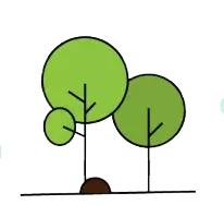 除了荷叶还有什么减肥比较好,荷叶的功效与作用是减肥还是祛湿