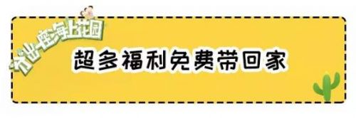 免费领取畅玩大礼包,畅玩礼包豪华礼包