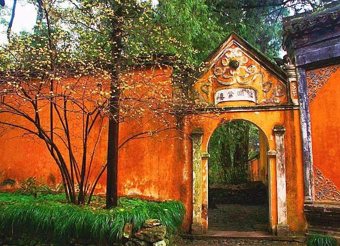 香雪海什么时候开放,香雪海惊艳了多少人