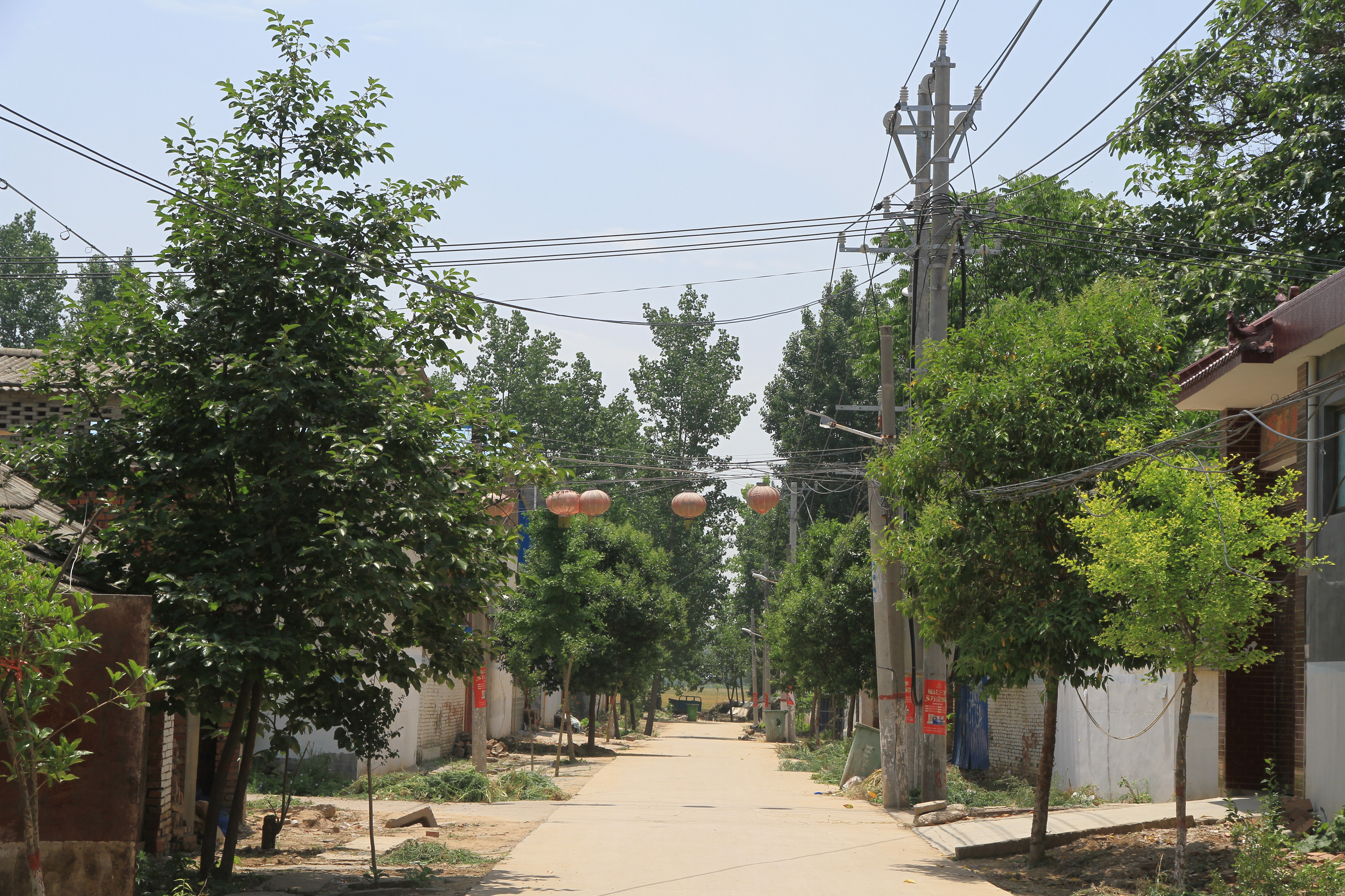 走进一百个美丽乡村第九站,走进100个美丽乡村东屯乡