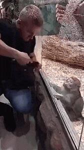 搞笑小萝莉图片,搞笑版小萝莉