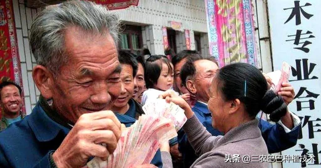 农民怎么领取国家补助,国家补贴的钱一直没到怎么办