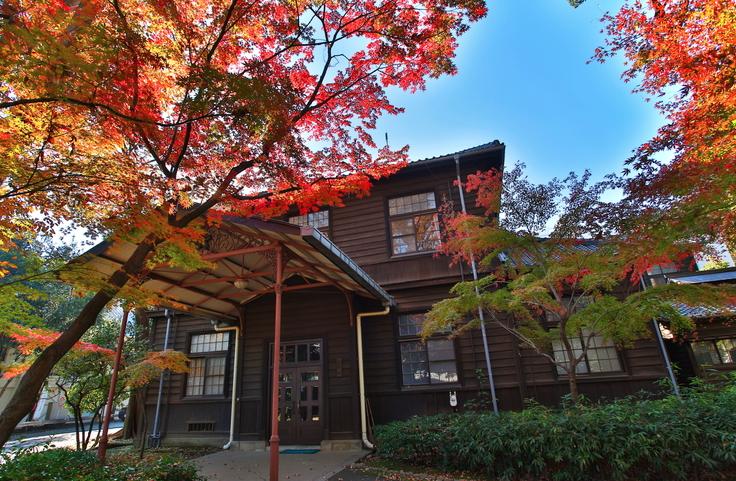 日本留学顶级大学,日本学习院