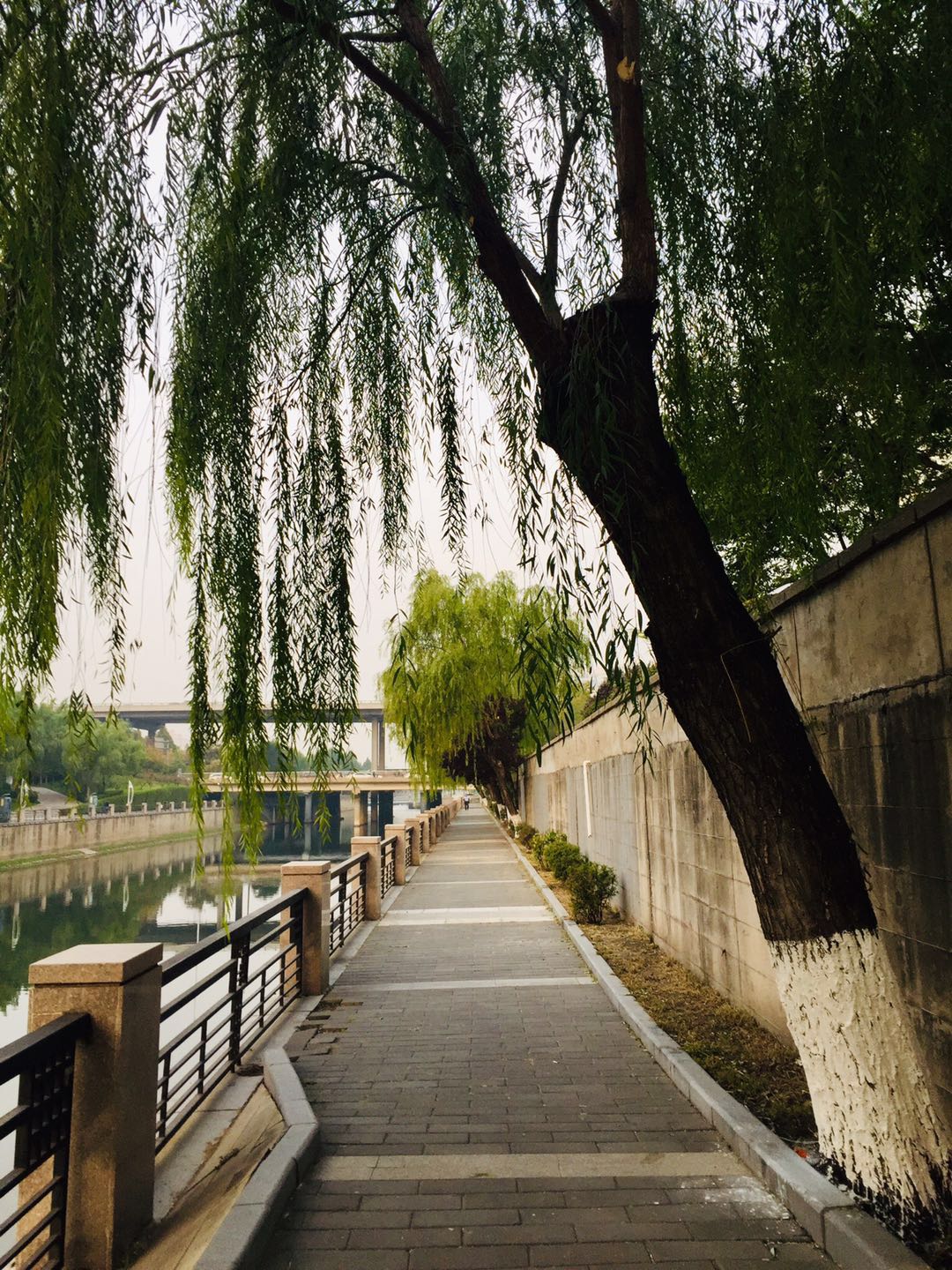 北京庆丰公园,有历史典故,能晨跑健身、遛弯散心的3*级A**景区