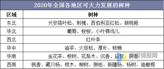 2021苗木市场前景分析视频,2022年全国苗木供需分析第二部分