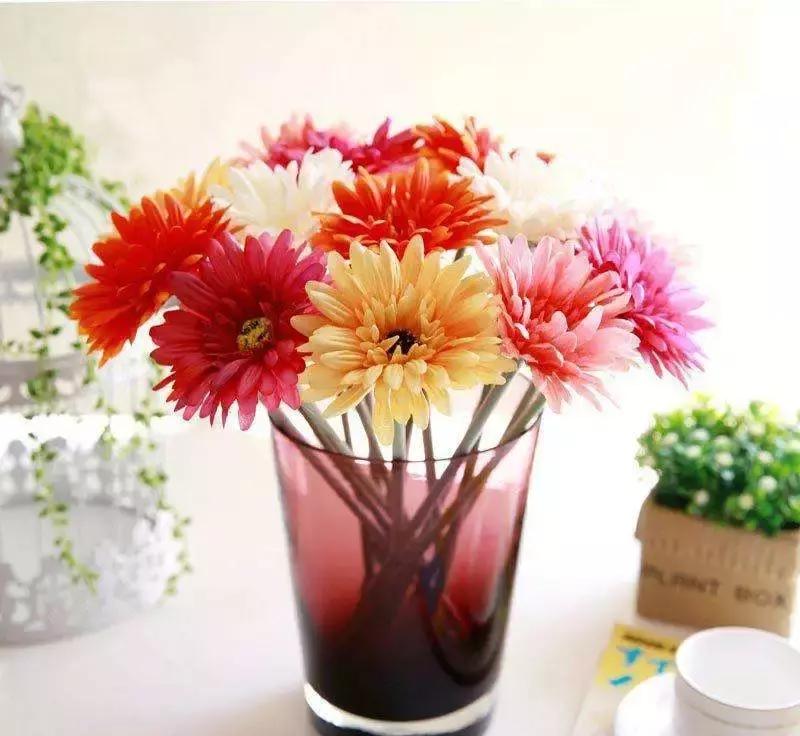 去甲醛最好植物是什么,去甲醛的最好的植物