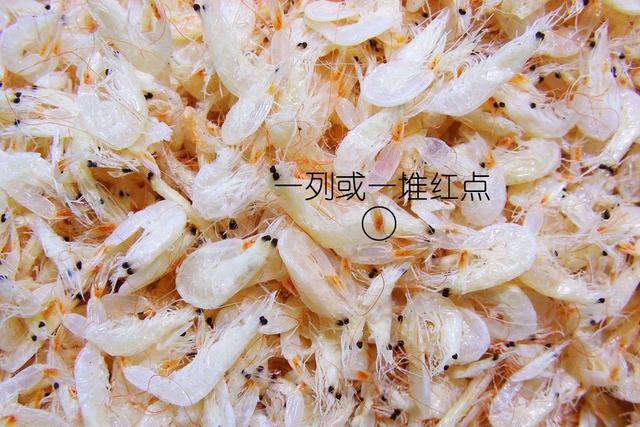 虾说，这是一篇让你不仅会吃，还会认……一文解决“虾”认识